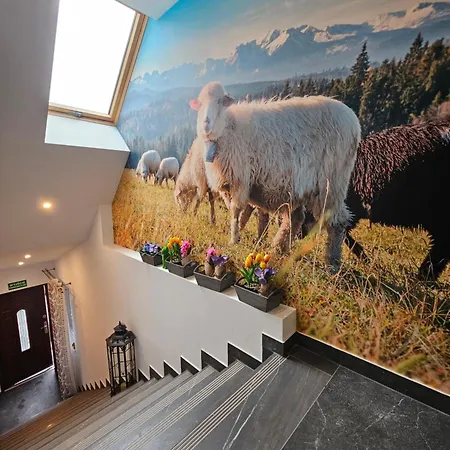 Parzenica Przy Termach Chocholowskich *